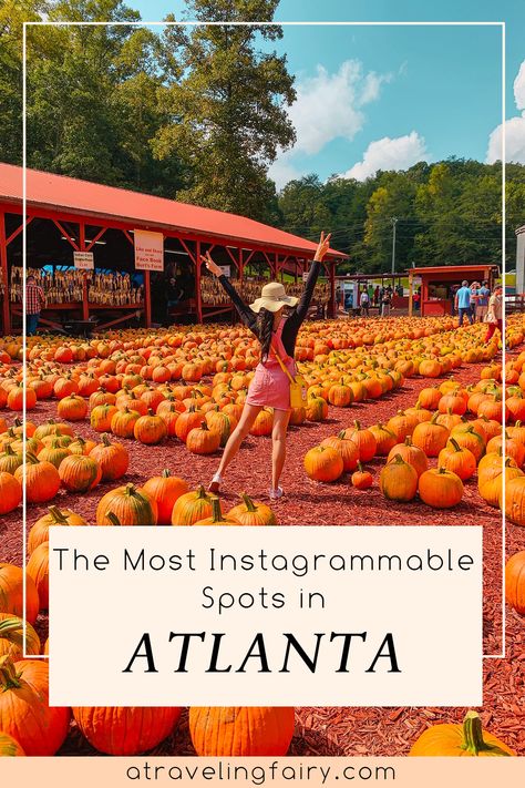 Most Instagrammable Spots in Atlanta - from an Atlanta local. The capital of the peach state is full of insta-worthy photo locations. Beautiful spots and things to do. #travel #instagrammable #atlanta #georgia Atlanta Instagram Spots, Krog Street Market, Atlanta Travel, Atlanta Beltline, Decatur Georgia, Atlanta Botanical Garden, Georgia Aquarium, Piedmont Park, Georgia Travel