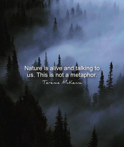 Wanderlust Meaning, Wake Up Now, Terence Mckenna, Wanderlust Quotes, Wanderlust Photography, Inner Guidance, Hippie Life, Word Of Mouth, Nature Quotes