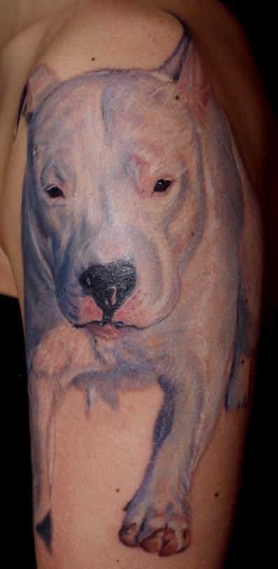 Dogo Argentino Tattoo, Pet Memorial Tattoo, Dog Shadow Box, Pitbull Tattoo, Harry Potter Tattoo, Memorial Tattoos, Dog Tattoo, Tattoos Ideas, Art Ink