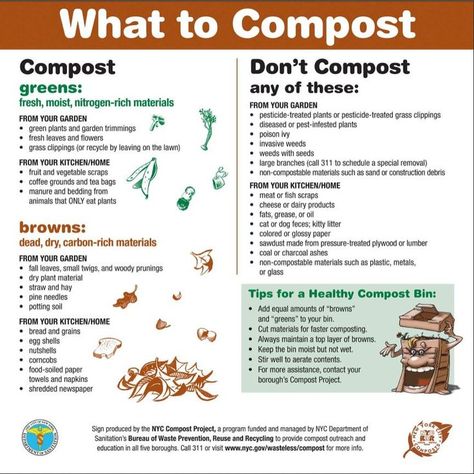 What to Compost Signs | PDF of Sign for what to compost and the things you don't compost More What To Compost, Composting 101, Vegetable Scraps, Arch Ideas, Ranch Remodel, Worm Composting, Composting At Home, Garden Compost, Community Garden