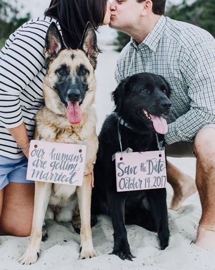 Dogs In Weddings, Kim Wedding, Lesbian Engagement, Engagements Pictures, Engagement Photo Props, Save The Date Ideas, Graduation Pic, Funny Wedding Pictures, Engagement Signs