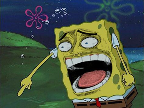 Spongebob Laughing, Funny Spongebob Faces, Spongebob Faces, Spongebob Pics, Laugh Meme, Spongebob Funny, Spongebob Wallpaper, Spongebob Memes, Funny Profile Pictures