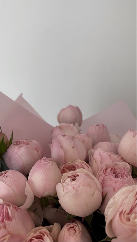 Flowers, aesthetic, bouquet, pink, rose, beautiful, inspiration, flowers, roses, pretty Aesthetic Bouquet, Light Pink Roses, Roses Beautiful, 2024 Aesthetic, Light Pink Rose, Flowers Aesthetic, Rose Bouquet, How Beautiful, Baby Pink