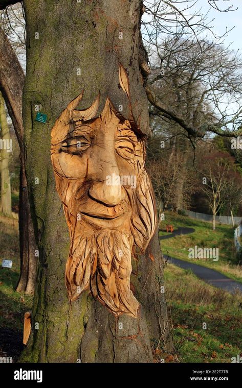 Télécharger cette image : Sculpture d'un visage barbu dans un tronc d'arbre - 2E2T7TB depuis la bibliothèque d’Alamy parmi des millions de photos, illustrations et vecteurs en haute résolution. Swansea, Photo Stock, Sculpture, Illustrations, Art