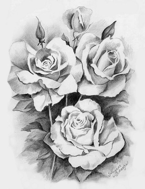 Rose Drawing Pencil, Pencil Drawing Pictures, Realistic Flower Drawing, Flower Bouquet Drawing, Pencil Drawings Of Flowers, Rose Sketch, Realistic Rose, Drawing Faces, Simple Rose