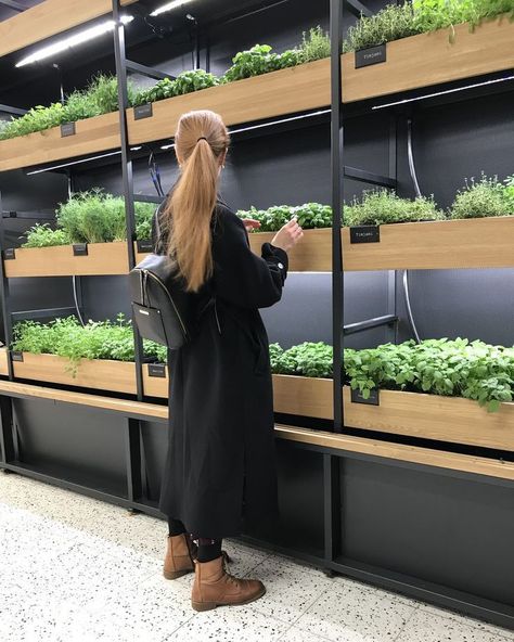 Hydroponic Gardening Aesthetic, Garden Center Displays, Indoor Farming, Modern Restaurant Design, Hydroponic Farming, Vertical Garden Wall, Vertical Farming, Urban Agriculture, Bathroom Inspiration Modern