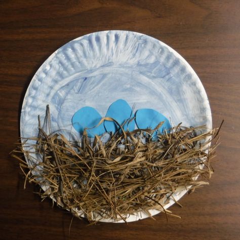 Baby Bird Nest Craft, Bird Nest Craft Preschool Art Projects, Bird In Nest Craft, Bird Nest Craft Preschool, Bird Nest Crafts, Preschool Birds, Birds Preschool, March Projects, Nest Craft