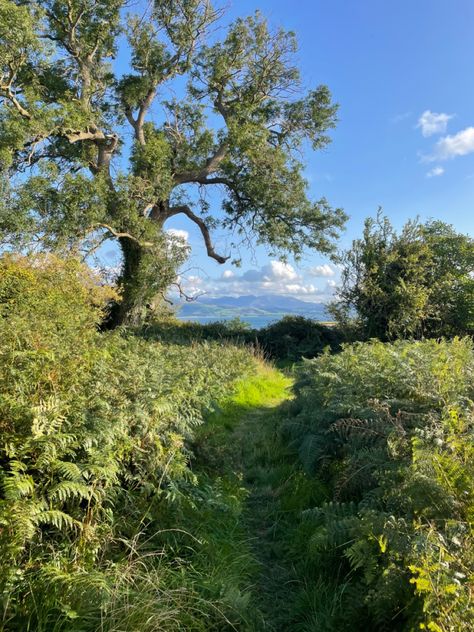 the welsh countryside Welsh Aesthetic, Welsh Mountains, Welsh Culture, Welsh Countryside, Good Genes, Cottagecore Aesthetic, Dream Life, Wales, I Am Awesome