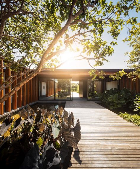 Reflecting pool divides São Paulo house by Jacobsen Arquitetura Pool Areas, Entrance Ideas, San Paolo, Reflecting Pool, Japanese Zen, Modern Pools, Timber Construction, Japanese Architecture, Eco House