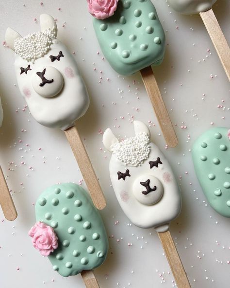 Llama & Cactus Cakesicles 💗🌵 Cake Lollies, No Bake Cake Pops, Popsicles Cake, Cake Popsicles, Cake Pop Decorating, Hot Chocolate Gifts, Llama Party, Kids Party Food, Baking Business