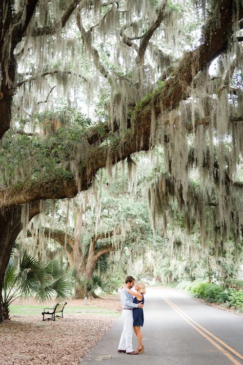 Hilton Head Engagement Photos, South Carolina Engagement Photos, Dnp Graduation, Aiken South Carolina, Dream Proposal, Beaufort South Carolina, Proposal Pictures, Trees Photo, Engagement Pictures Poses