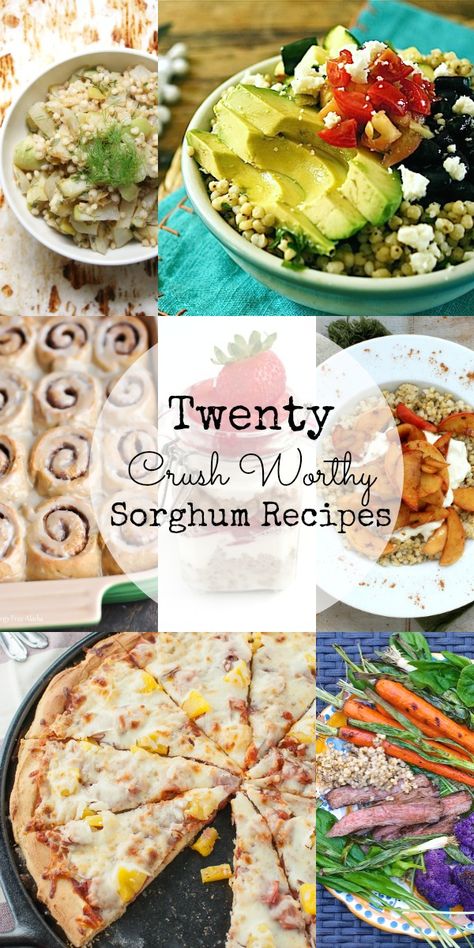 Ancient grains are hot these days, and one of my favorite ancient grains is sorghum. It's naturally gluten-free and has a delicious nutty taste and chewy texture. Try it in one of these 20 Crush Worthy Sorghum recipes! Whole Grain Sorghum Recipes, Sorghum Salad, Gundry Recipes, Bistek Recipe, Sorghum Recipes, Ancient Grains Recipes, Sambhar Recipe, Chayote Recipes, Grains Recipes