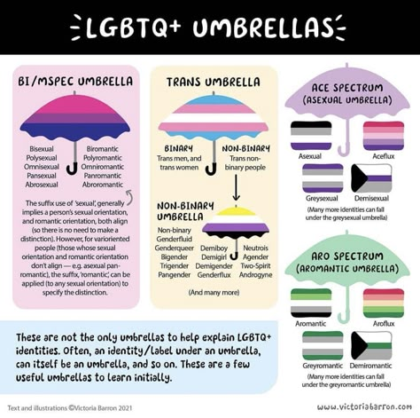 Lgbtq Meaning, Umbrella Term, Lgbtq Funny, Gay Humor, Lgbt Flag, Lgbt Rights, Lgbtq Flags, Lgbtq Pride, Lgbt Pride