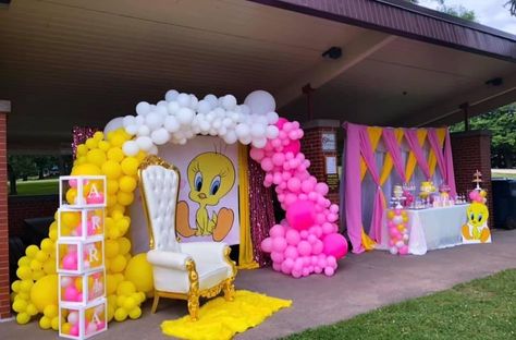 Bird Baby Shower Theme, Surprise Birthday Decorations, Bird Baby Shower, Baby Shower Party Themes, Baby Shower Theme Decorations, Bird Birthday, Baby Gender Reveal Party, First Birthday Party Themes, Boy Baby Shower Themes