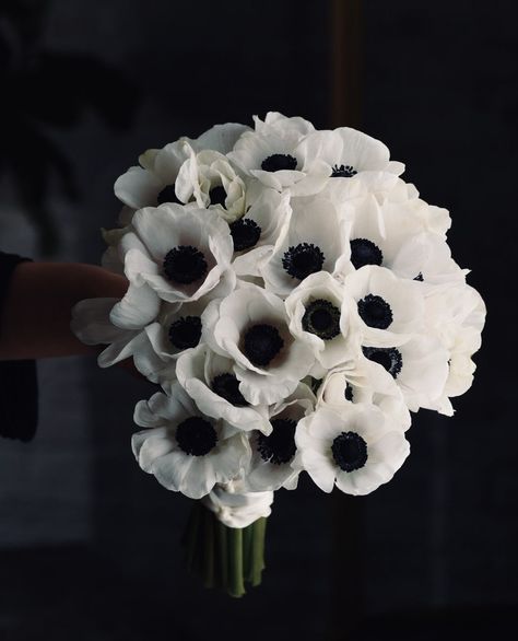 White And Black Wedding Flowers, Black And White Wedding Bouquet, Black And White Bouquet, White Wedding Flowers Bouquet, Black Wedding Flowers, Bride Bouquets White, Wedding Planning Details, Winter Bridal Bouquets, Black Bouquet