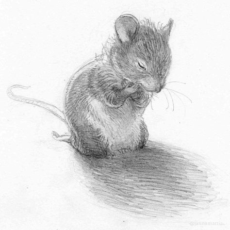 Animals Sketch, Rhino Art, Mouse Sketch, Mouse Illustration, Mouse Drawing, Storybook Art, Heart Sketch, Cat Sketch, Graphic Novel Art