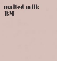 benjamin moore malted milk Benjamin Moore Malted Milk, Malted Milk Benjamin Moore, Bathroom Paint, Milk Color, Farm Kids, Malted Milk, Bathroom Paint Colors, Color Wall, Interior Painting