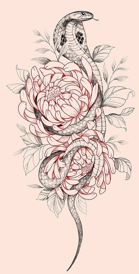 King Cobra Tattoo, Women Outline, Snake And Flowers, Thigh Piece Tattoos, Cobra Tattoo, Animal Tattoo Ideas, Chrysanthemum Tattoo, Japan Tattoo Design, Snake Tattoo Design