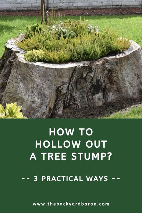 This guide explores three ways to hollow out a tree stump and what you can do with it to transform your outdoor space. Stump Fire Pit, Stumps Ideas, Rustic Bird Baths, Stump Decor, Tree Stump Decor, Stump Planter, Short Trees, Tree Stump Planter, Garden Planter Ideas