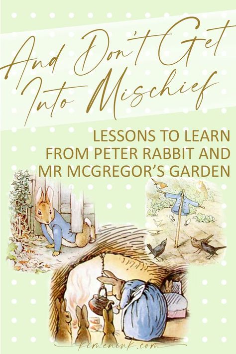 When you heard the Peter Rabbit story as a kid you likely didn't realize all the subliminal lessons imparted to your psyche by the brilliant Ms Potter. If you're needing inspiration, re-read The Tale of Peter Rabbit. Aloud. For your inspirational meditations. The lesson is real. Peter Rabbit Story, Mr Mcgregor, Tale Of Peter Rabbit, Benjamin Bunny, Lesson Learned, Homeschool Kindergarten, Mysterious Places, Peter Rabbit, Lessons Learned