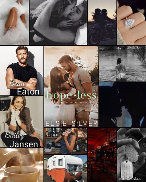 Chicago Ruthless Series, Wild Love Elsie Silver Fan Art, Hopeless Elsie Silver Aesthetic, Country Romance Books, Tbr Shelf, 2024 Books, Book Men, Country Romance, Chestnut Springs