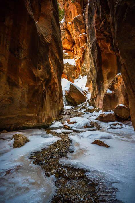 Kolob Canyon, Utah Winter, Travel Utah, Slot Canyons, Zion Canyon, Cedar City, Utah Travel, Canyon Road, Winter Family