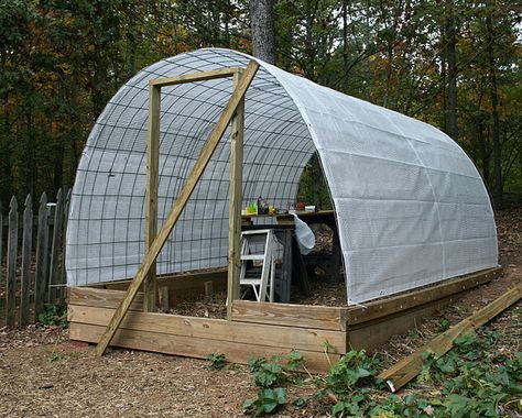 Cow Panel Greenhouse, Cow Panel Trellis, Permanent Greenhouse, Building Fence, Serre Diy, Tiny Homestead, Panel Trellis, Greenhouse Panels, Chicken Houses