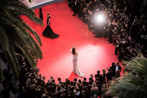 Red Carpet Aesthetic, Cannes Film Festival 2015, Cannes Red Carpet, Sean Penn, Life Vision Board, Idris Elba, Tilda Swinton, Anthony Hopkins, Samana