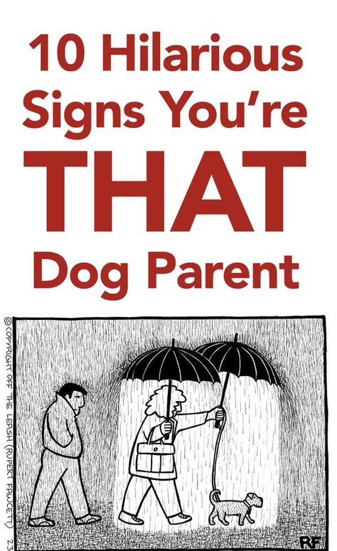 Love these! From your friends at phoenix dog in home dog training"k9katelynn" see more about Scottsdale dog training at k9katelynn.com! Pinterest with over 18,000 followers! Google plus with over 119,000 views! You tube with over 350 videos and 50,000 views!! Twitter 2200 plus;) Hilarious Signs, Dog Information, Dog Parents, Dog Obedience, Dog Quotes, Goldendoodle, Please Wait, Dog Life, I Love Dogs