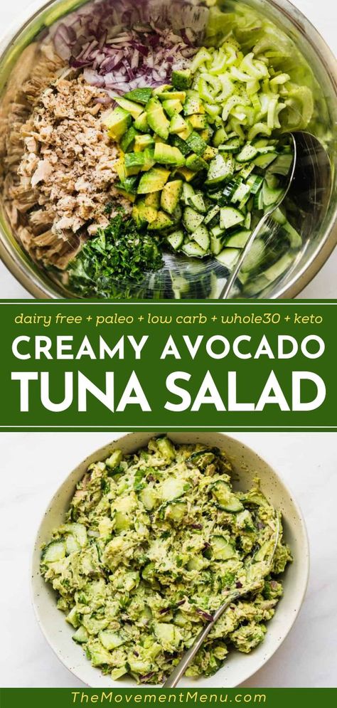 Creamy Avocado Tuna Salad, spring/ summer salad, healthy lunch idea, quick and easy meal Tuna Salads For Dinner, Low Carb Canned Tuna Recipes, Aip Tuna Salad, Dairy Free Tuna Recipes, Whole 30 Tuna, Canned Tuna Salad, Dairy Free Tuna Salad, Cleanse Foods, Tuna Fresh