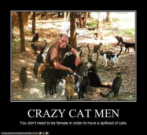 crazy cat man - I've actually seen this man before Cat Lady Meme, Crazy Cat Man, Men With Cats, Serval Cats, Herding Cats, Cat Ownership, Warrior Cats Books, Celebrity Memes, Cat Run