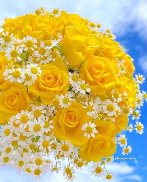 Yellow Rose Bouquet, Top Flowers, Yellow Rose Flower, Best Roses, Pineapple Wallpaper, Luxury Flower Bouquets, Good Morning Flowers Pictures, Cute Flower Wallpapers, Rare Flowers