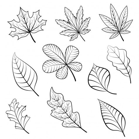 Pen Exercises, Autumn Leaves Tattoo, Autumn Leaves Drawing, Fall Leaves Drawing, Fall Leaves Tattoo, Fall Tattoo, Autumn Drawing, Mushroom Theme, Leaves Sketch