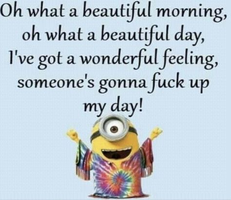 Funny Minion Pictures, Funny Minion Memes, Minion Jokes, Minions Love, A Minion, Minion Quotes, Funny Minion Quotes, Minions Quotes, The Social Network