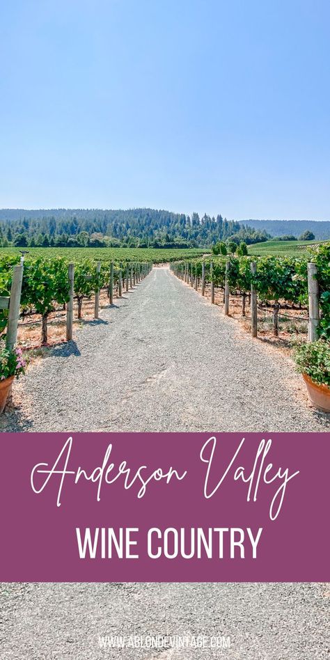 Visit the Anderson Valley Wine Country in California with this guide! Do not miss any of these California Wine Country wineries! #winecountry #wineguide #winecountryguide #visitwinecountry #napa #andersonvalley #sonoma #wine California Wine Country, Wanderlust Photography, Vintage Lifestyle, Wine Country California, Us Road Trip, California Wine, Incredible Places, Gorgeous View, Road Trip Usa