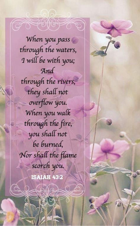 Isaiah 43 2, A Bible Verse, Isaiah 43, Beautiful Bible Verses, Ayat Alkitab, Biblical Verses, Biblical Quotes, Bible Verses Quotes Inspirational, Favorite Bible Verses