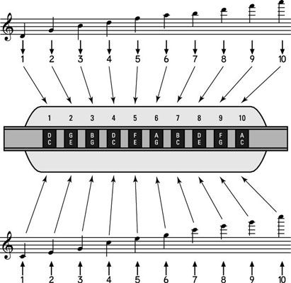 Music notation tells you which notes to play and when to play them. However, notation doesn’t tell you how to get the notes on the harmonica or on any other instrument; those specifics are left up to you. Here are some basics of reading written notes and relating them to a C-harmonica. Placing notes on … Harmonica Sheet Music, How To Play The Harmonica, How To Play Harmonica, Harmonica Notes, Harmonica How To Play, Harmonica Lessons, Music Basics, Not Musik, Harps Music