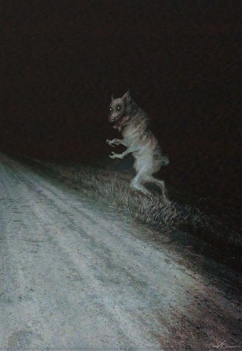 Creepy Forest Creatures, Ps2 Horror Aesthetic, Eldridge Horror, Cryptid Photos, Cryptid Horror, Memes Birthday Funny, Rabbit Horror, Existential Horror, Beast Of Bray Road