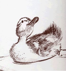 Make Way For Ducklings, Duck Tattoos, Duck Drawing, Baby Animal Drawings, Duck Cartoon, Dragonfly Art, Rear End, Bird Artwork, Animal Sketches