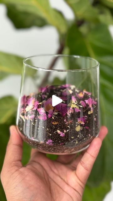 Pratik Bhakta | HungryEmpire on Instagram: "It’s time to stop using “chai tea” powders and try making it at home. I promise you won’t regret it. It’s simple, fragrant and will save you $$! 

Recipe: Cardamom & Rose Cha/Chai 🌹
Servings: 2
1 cup of water
1 cup of milk
4 tsp of cardamom rose chai mixture
Sugar to taste (I use 2 tsp but I don’t like it super sweet)

Chai Blend:
15-25 cardamom pods (depending on how much you like the flavor of it)
1/3 cup of rose petals
3.5 cups of chai leaves

Directions:
Blend cardamom pods in a spice grinder until it’s coarse, then add rose petals and blend again. Add to chai leaves (loose black tea) and mix. Store in an airtight container

Bring equal parts milk and water to a boil then add in the chai blend. Simmer on low heat for 2-3 min while using a la Cardamom Pods, Chai Recipe, Cup Of Milk, Cup Of Water, Spice Grinder, Tea Powder, Chai Tea, I Promise You, Tea Recipes