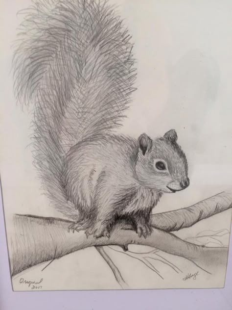 Chippy by Kat Wildlife Sketches Pencil, Animal Sketches Easy, Realistic Animal Drawings, Tre Kunst, Squirrel Art, Drawings Of Animals, Pencil Drawings Of Animals, Nature Art Drawings, Canvas Art Projects