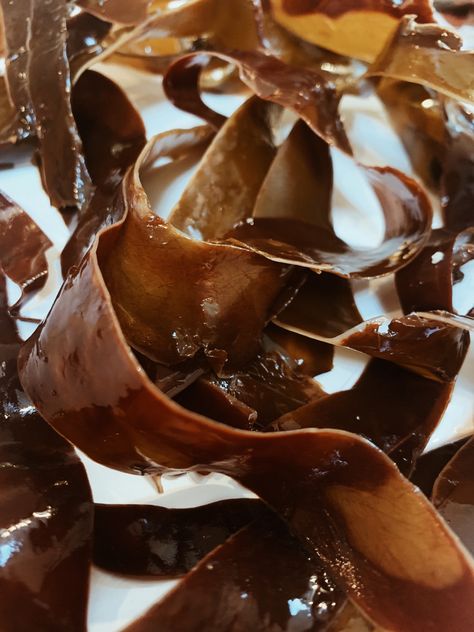 Seaweed Fashion, Seaweed Pictures, Seaweed Photography, Seaweed Texture, Kelp Forest Photography, Seaweed Textiles, Seaweed Art, Nordic Inspiration, Seaweed Underwater Photography