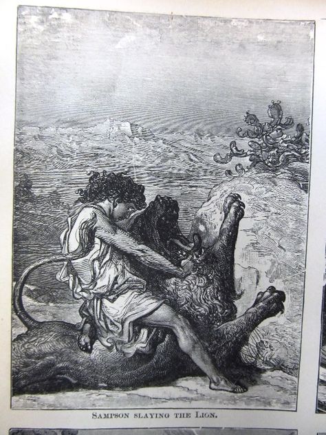 Samson fighting the Lion. Excerpt from antique bible, 1882 Holman's Illustrated edition. Leatherbound, huge, and filled with gorgeous plate illustrations such as this. Antique Bible, Goethe's Faust, Old Illustration, Watch And Pray, Lion Drawing, Master Drawing, Bible Illustrations, The Son Of Man, Black Ink Tattoos