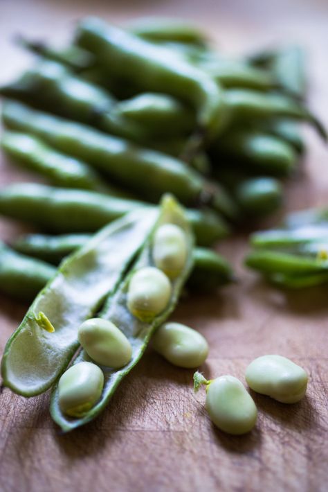 Marinated Fava beans- with olive oil, vinegar, garlic, lemon zest and fresh herbs- a great way to persevere summer shelling beans. Serve with hummus and pita!| www.feastingathome.com Fava Beans Recipes, Spring Side Dishes, Feasting At Home, Hummus And Pita, Plum Recipes, Healthy Bowls, Lemon Ricotta, Fava Beans, Fresh Mint Leaves