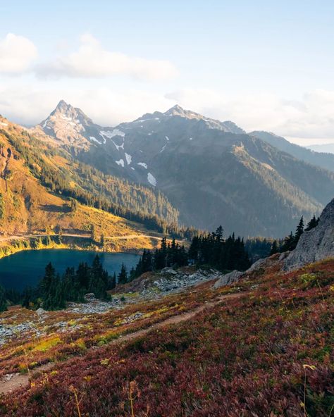 Amazing Fall Hike in Washington. (And summer too) If you like mountain views for miles and a somewhat short and moderate hike then add Winchester Mountain to your list. This hike offers some of the most incredible views in the Mount Baker Snoqualmie National Forest. At the top is a fire lookout sitting up there waiting for you to check it out. 📍Winchester Mountain Trail 🥾 3.5 miles ⛰️1,325 ft of elevation gain This is a great place for a day hike or an overnight. The sunrises + suns... Fall Hike, Fire Lookout, Mount Baker, Washington Hikes, Mountain Trail, Fall Hiking, Mountain Trails, Day Hike, Mountain Views