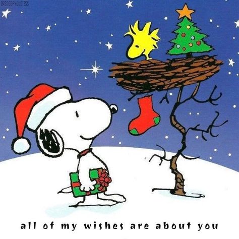 SNOOPY - QUOTES on Instagram: "Wishes do come true :-) ☃️🥰" A Charlie Brown Christmas, Christmas Snoopy, Woodstock Snoopy, Snoopy Images, Snoopy Wallpaper, Snoopy Quotes, Peanuts Christmas, Snoopy Pictures, Brown Christmas