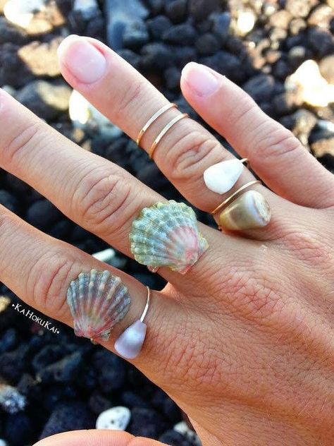 Seashell centerpieces