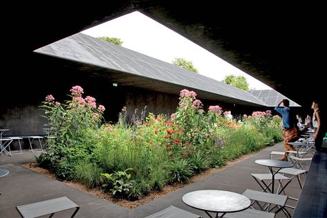 Serpentine Gallery Pavilion, Architecture Courtyard, Peter Zumthor, Zaha Hadid Architects, Landscape Architecture Design, Green Architecture, Patio Interior, Urban Oasis, Contemporary Architecture