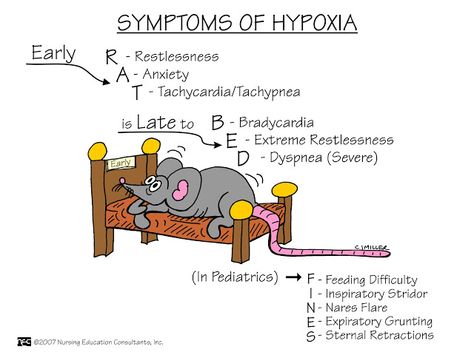 Symptoms of Hypoxia Nursing Study Tips, Nursing Fun, Medical Mnemonics, Nursing Board, Nursing Mnemonics, Surgical Nursing, Medical Surgical Nursing, Nursing School Survival, Fundamentals Of Nursing