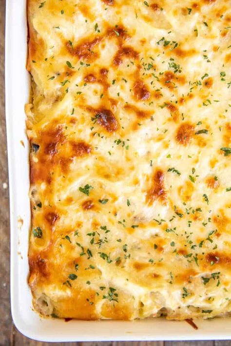 Million Dollar Chicken Tetrazzini - Plain Chicken Cottage Cheese Cream Cheese, Chicken Tetrazzini Casserole, Plain Chicken Recipe, Easy Chicken Spaghetti, Easy Chicken Tetrazzini, Chicken Tetrazzini Recipes, Million Dollar Chicken, Chicken Spaghetti Casserole, Cheese Mozzarella